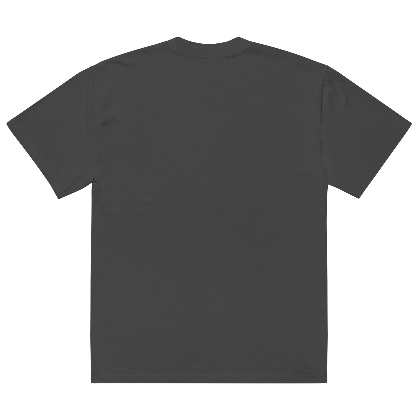Philly Embroidered Oversized faded t-shirt