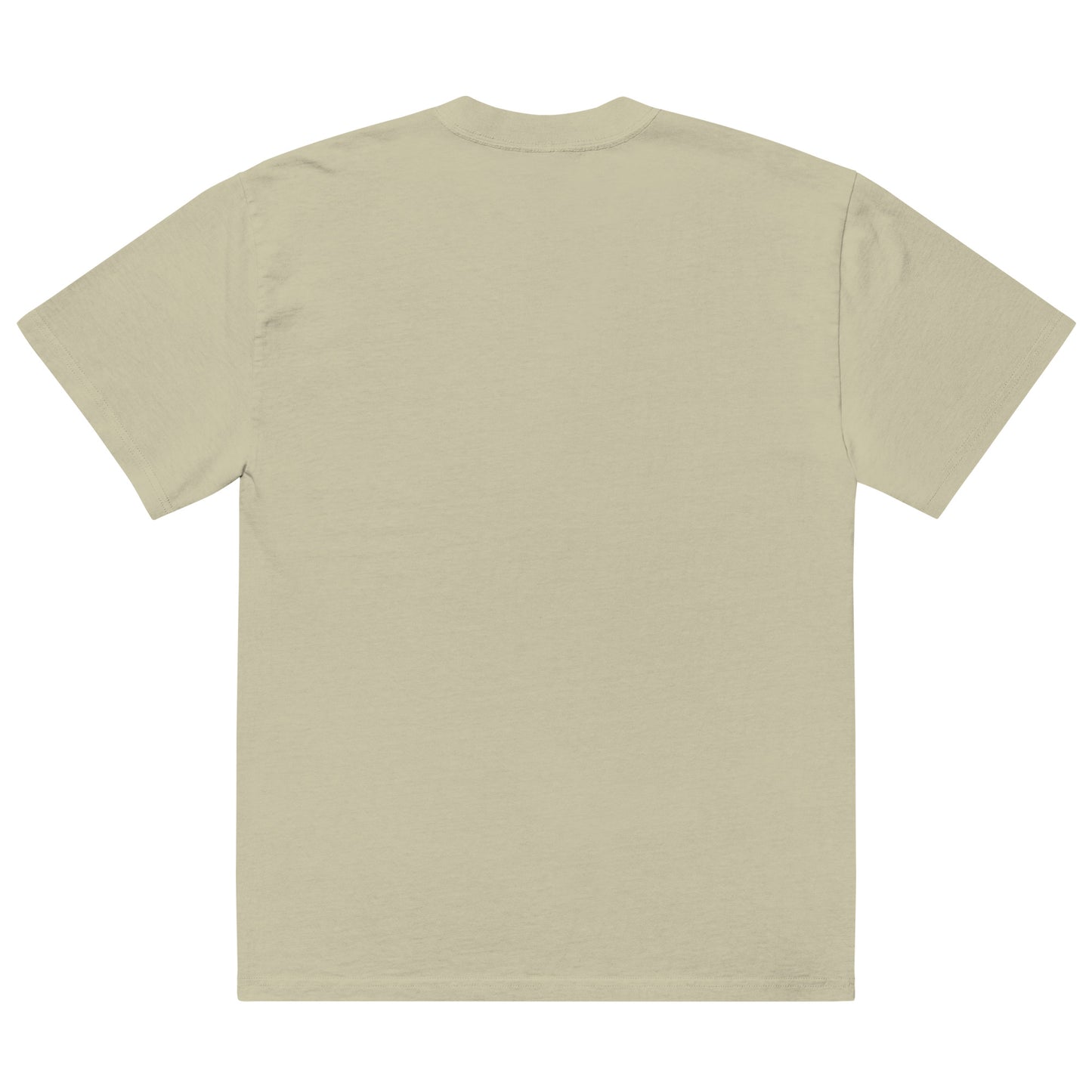 Philly Embroidered Oversized faded t-shirt