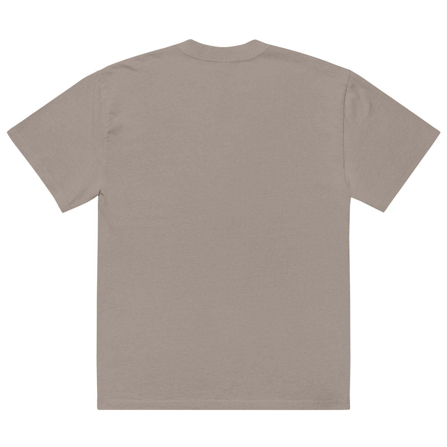Philly Embroidered Oversized faded t-shirt