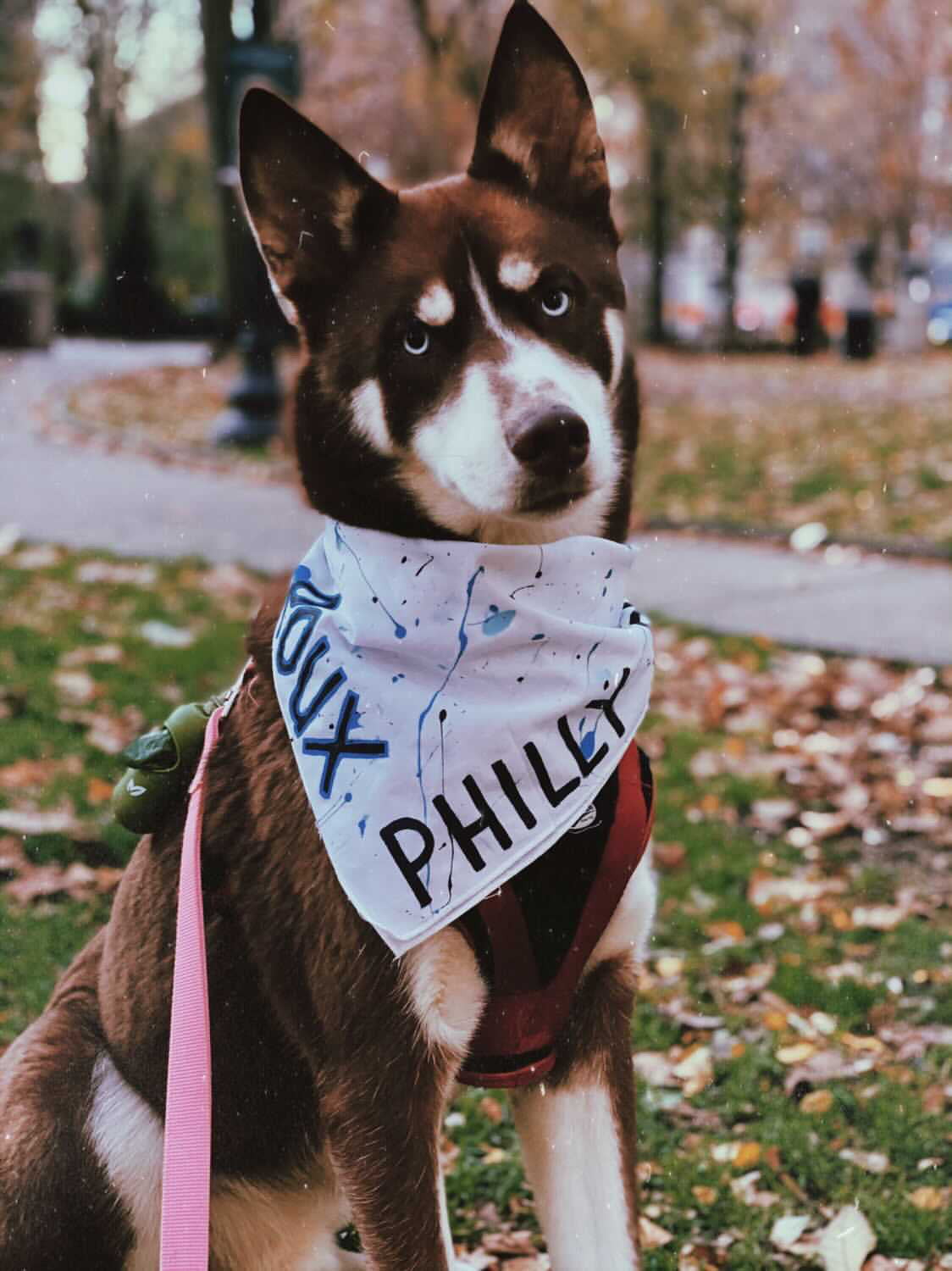 Philly Dog white bandana