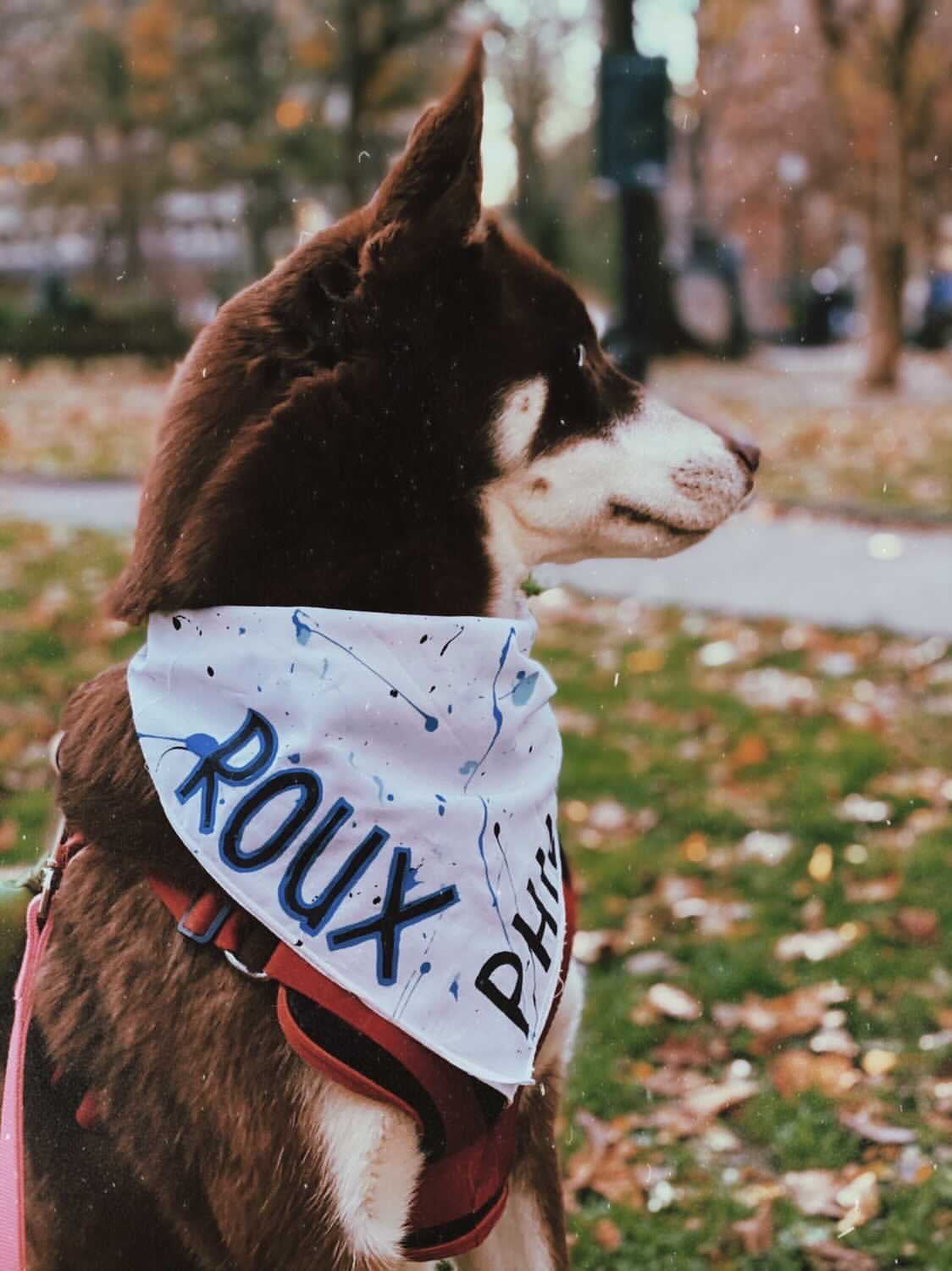 Philly Dog white bandana