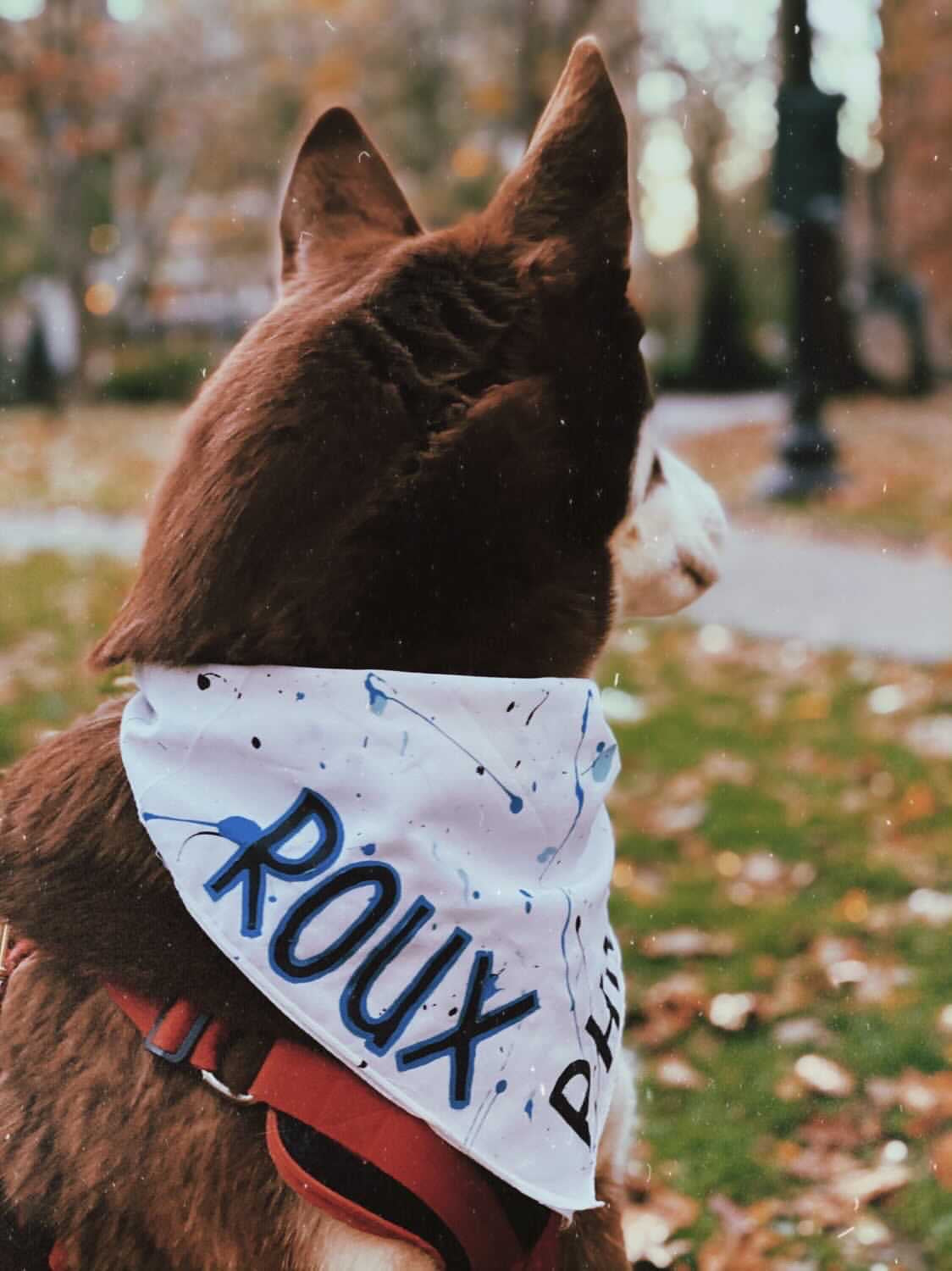 Philly Dog white bandana