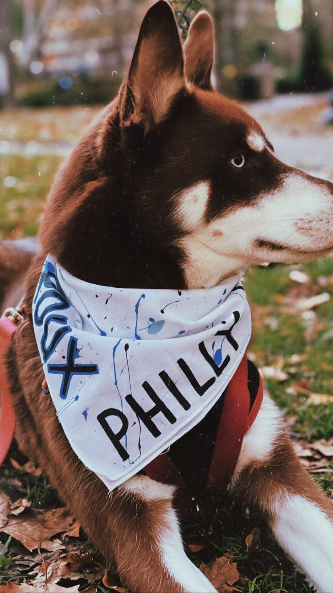 Philly Dog white bandana