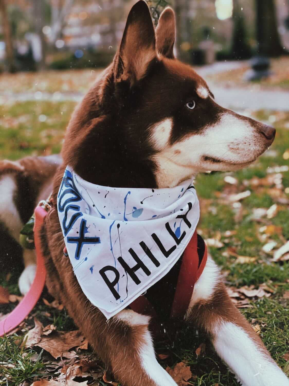 Philly Dog white bandana