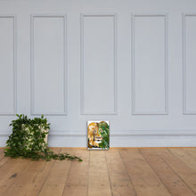 Load image into Gallery viewer, Garden Lion Canvas Print
