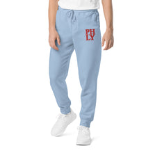 Load image into Gallery viewer, PHLY Unisex pigment dyed sweatpants
